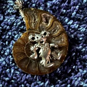 Source Unknown Silver and Brown Ammonite Necklace